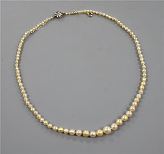 A single strand graduated natural pearl necklace, with old cut diamond cluster set yellow metal clasp.